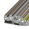 Miniatura Immagine principale 1