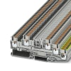 Miniatura Immagine principale 1