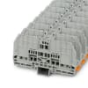 Miniatura Immagine principale 1