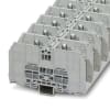 Miniatura Immagine principale 1