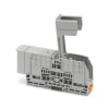 Miniatura Immagine principale 1