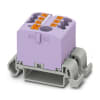 Miniatura Immagine principale 1
