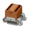 Miniatura Immagine principale 1