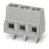 Miniatura Immagine principale 1