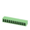 Miniatura Immagine principale 1