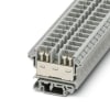 Miniatura Immagine principale 1