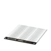Miniatura Immagine principale 1