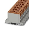 Miniatura Immagine principale 1