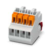 Miniatura Immagine principale 1