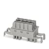 Miniatura Immagine principale 1