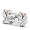 Miniatura Immagine principale 1