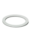 Miniatura Immagine principale 1