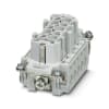 Miniatura Immagine principale 1