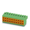 Miniatura Immagine principale 1