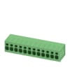 Miniatura Immagine principale 1