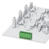 Miniatura Immagine principale 1