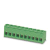Miniatura Immagine principale 1