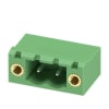 Miniatura Immagine principale 1