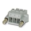 Miniatura Immagine principale 1
