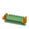 Miniatura Immagine principale 1