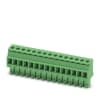 Miniatura Immagine principale 1