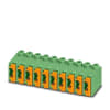 Miniatura Immagine principale 1