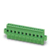 Miniatura Immagine principale 1
