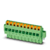Miniatura Immagine principale 1