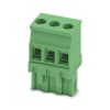 Miniatura Immagine principale 1