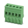 Miniatura Immagine principale 1