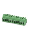 Miniatura Immagine principale 1