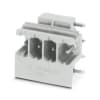 Miniatura Immagine principale 1
