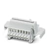 Miniatura Immagine principale 1