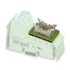 Miniatura Immagine principale 1