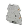 Miniatura Immagine principale 1