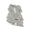 Miniatura Immagine principale 1
