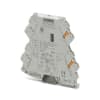 Miniatura Immagine principale 1