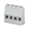 Miniatura Immagine principale 1