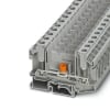 Miniatura Immagine principale 1