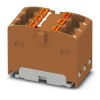 Miniatura Immagine principale 1