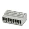 Miniatura Immagine principale 1