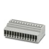 Miniatura Immagine principale 1