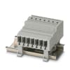 Miniatura Immagine principale 1