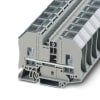 Miniatura Immagine principale 1