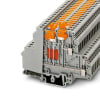Miniatura Immagine principale 1