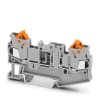 Miniatura Immagine principale 1