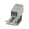 Miniatura Immagine principale 1