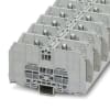 Miniatura Immagine principale 1