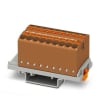 Miniatura Immagine principale 1