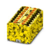Miniatura Immagine principale 1